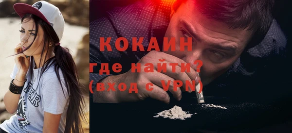 бошки Ладушкин