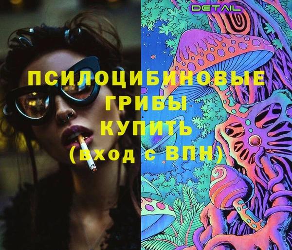 бошки Ладушкин