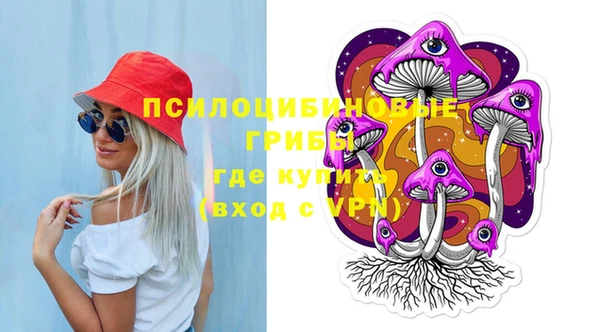 бошки Ладушкин
