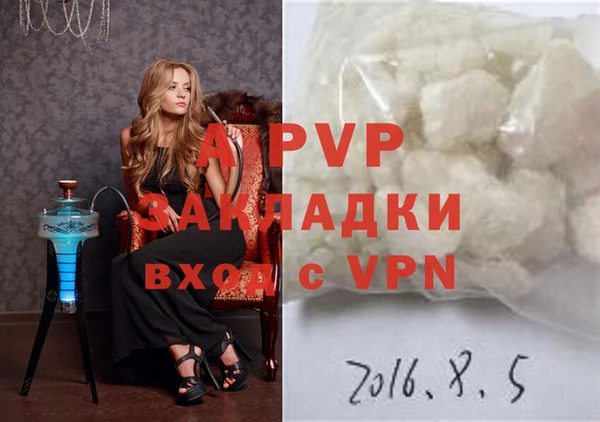 бошки Ладушкин